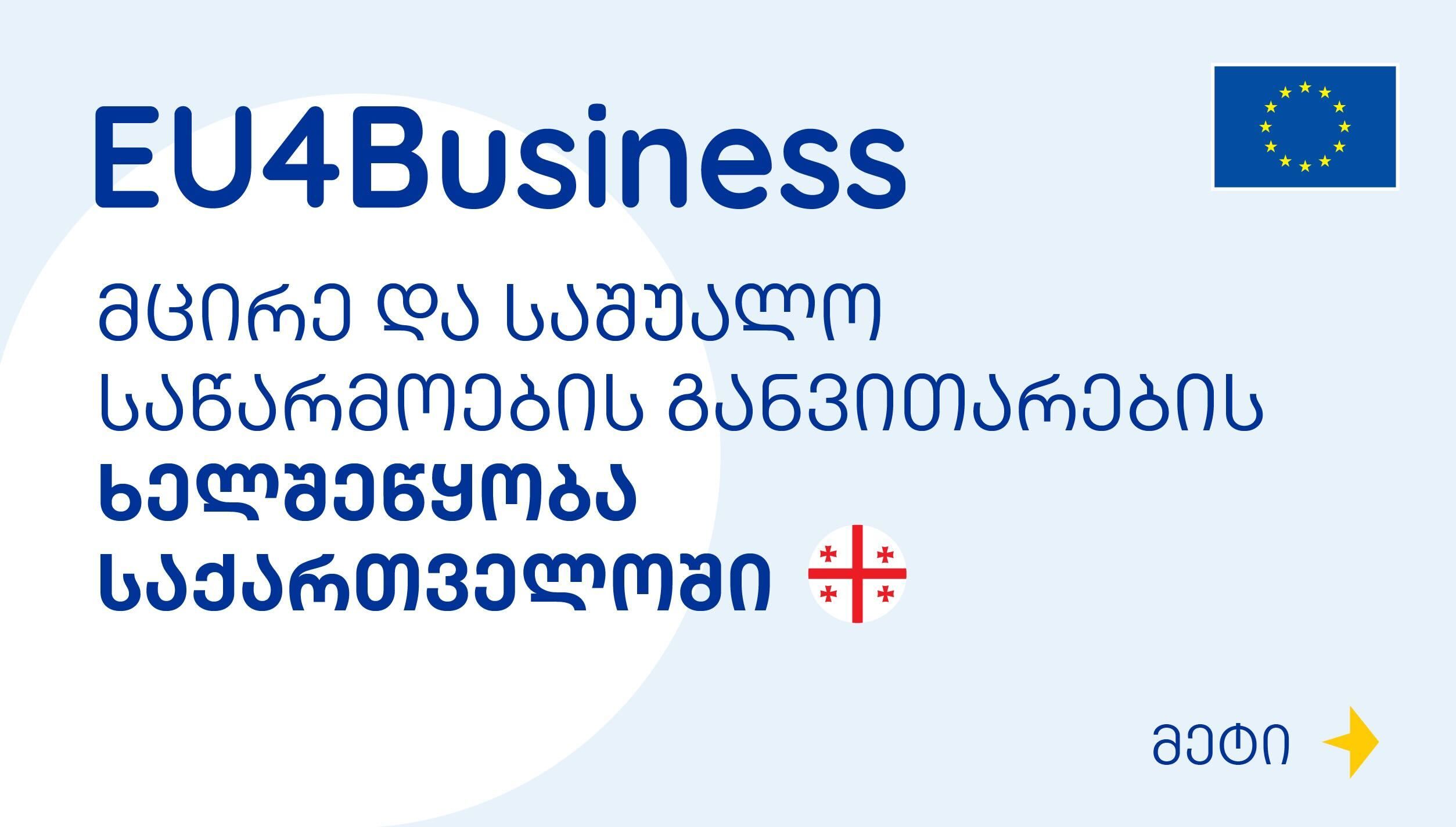 EU4Business in Georgia