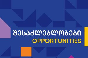 სოციალური მეწარმეობის საგრანტო