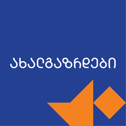 ევროკავშირის მხარდაჭერა საქართველოში