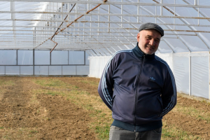 ევროკავშირი და FAO ქართულ სანერგეს სწრაფად განვითარებაში ეხმარება/ EU4Business and FAO help Georgian grapevine nursery grow by leaps and bounds