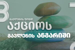 EU-Supported 'Actio' Impact Fund Publishes Report / „აქციო“ გავლენის ანგარიშს აქვეყნებს