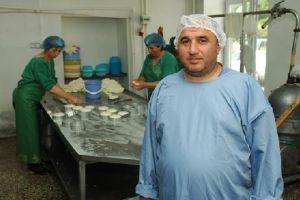 Making cheese