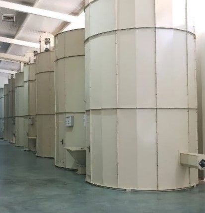 Vertical Hazelnut Dryer