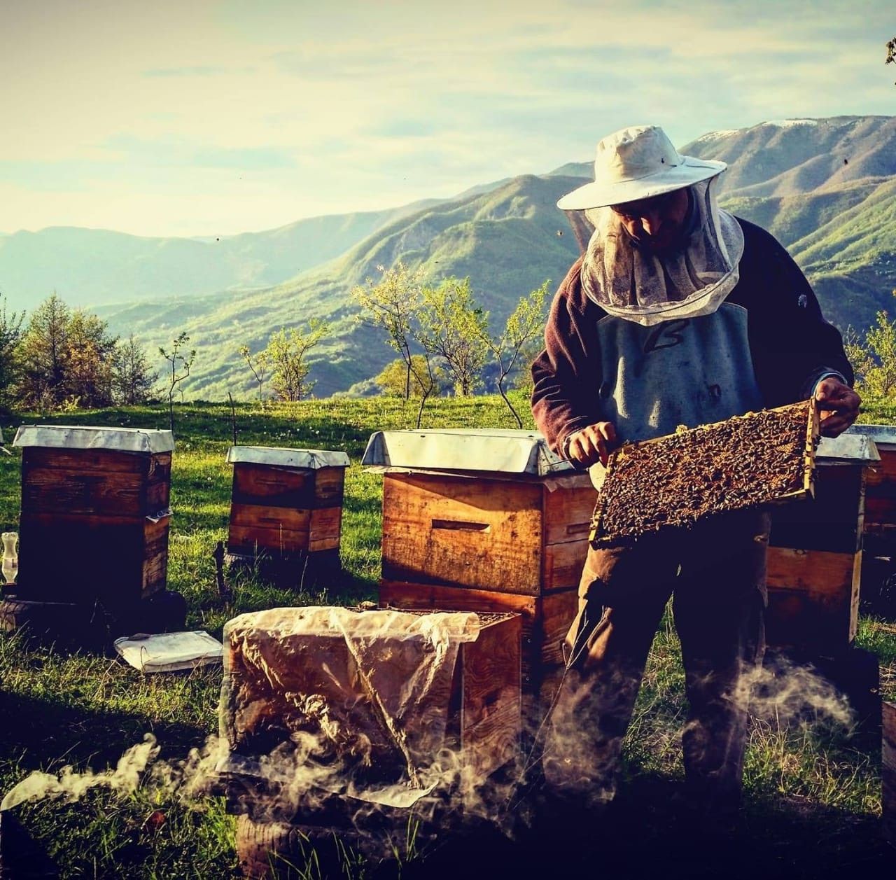 Georgian beekeepers expand production with EU support