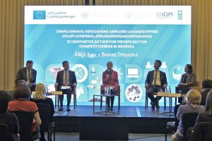 rivate Sector Competitiveness in Georgia / კერძო სექტორის მხარდაჭერა