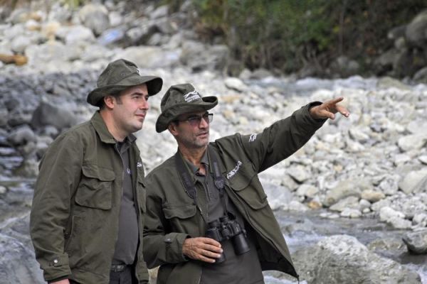 ტყის დაცვა