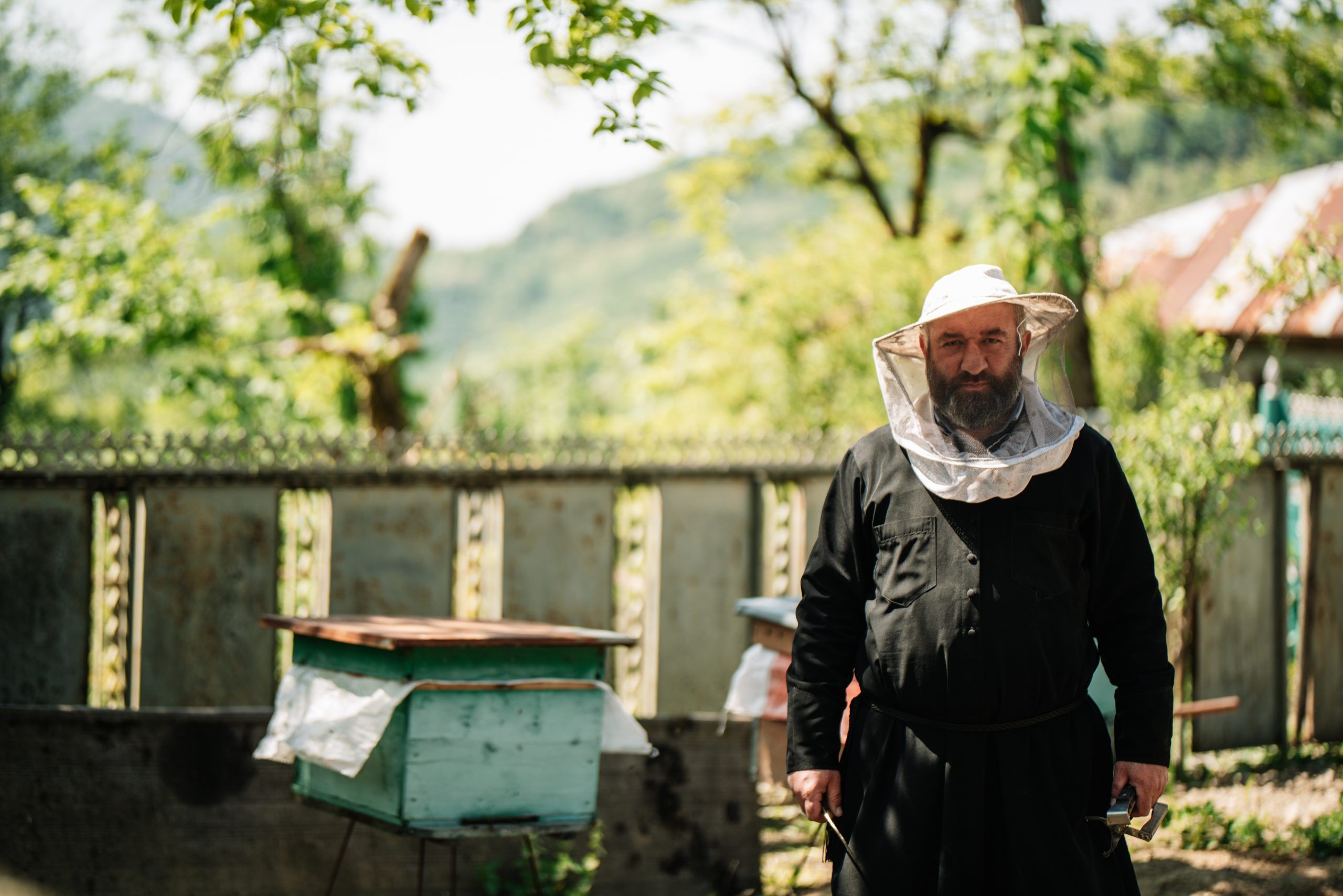 ვანის მუნიციპალიტეტი / Vani Municipality