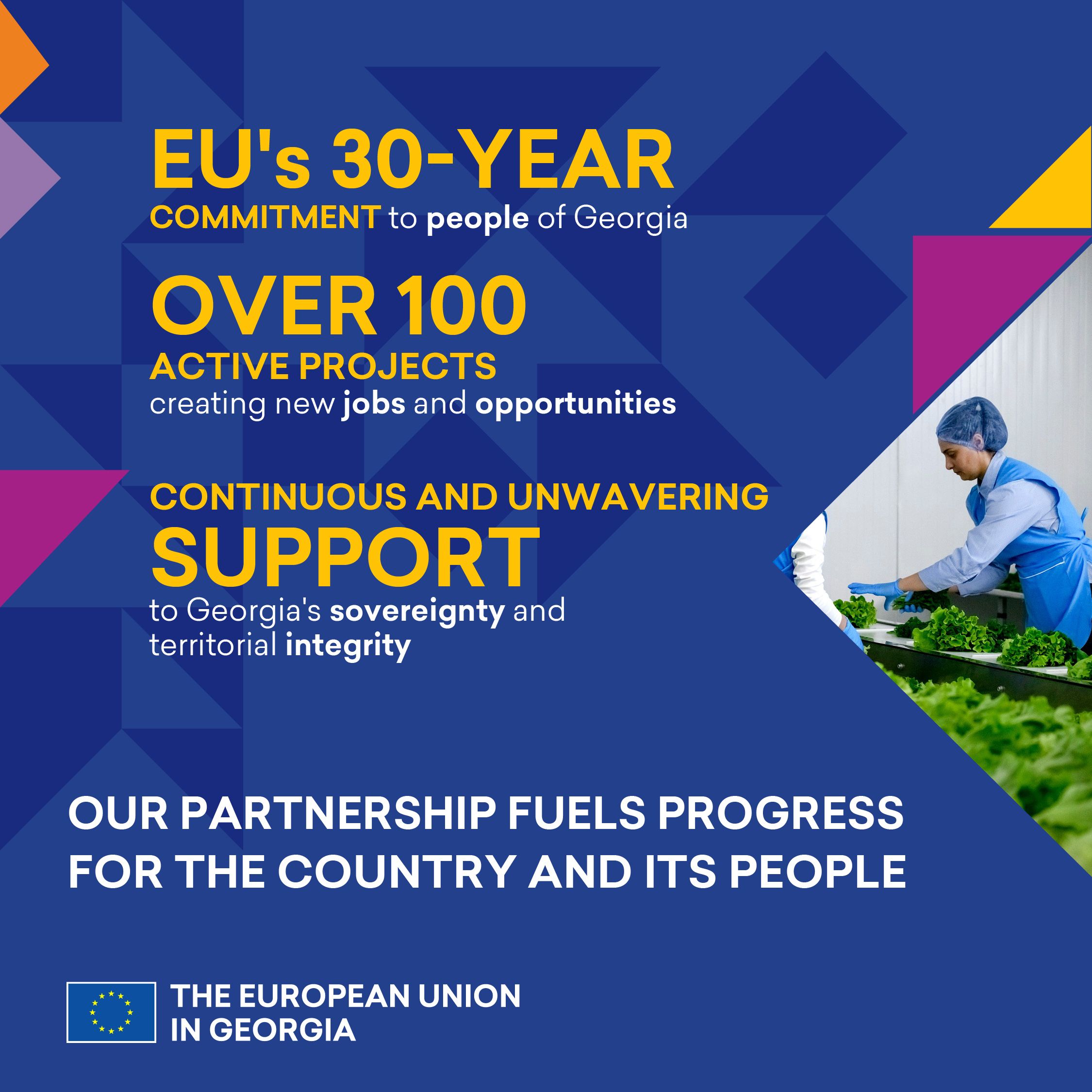 The European Union in Georgia