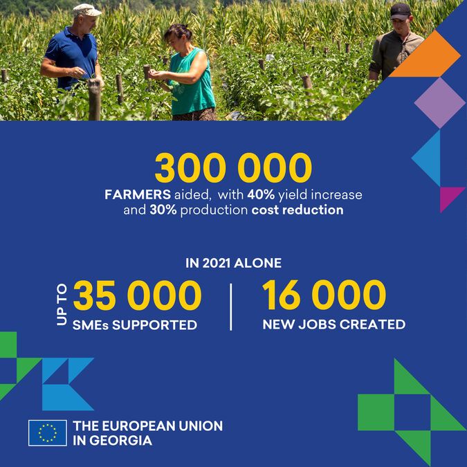 The European Union in Georgia