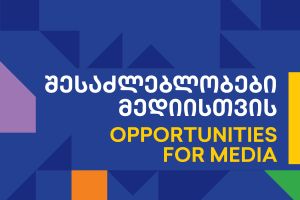 media mentorship programme / მედიის მენტორობის პროგრამა