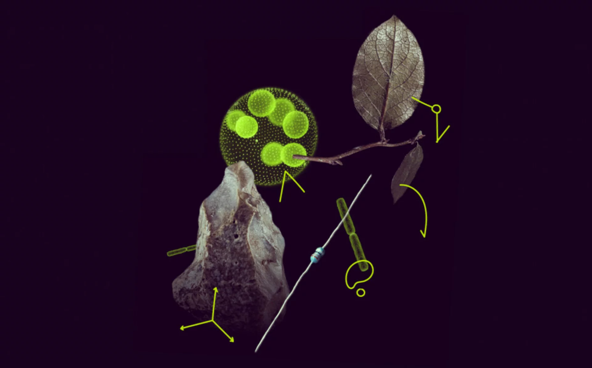 მარი სკლოდოვსკა-კიურის სტიპენდიები / Marie Sklodowska-Curie Fellowship