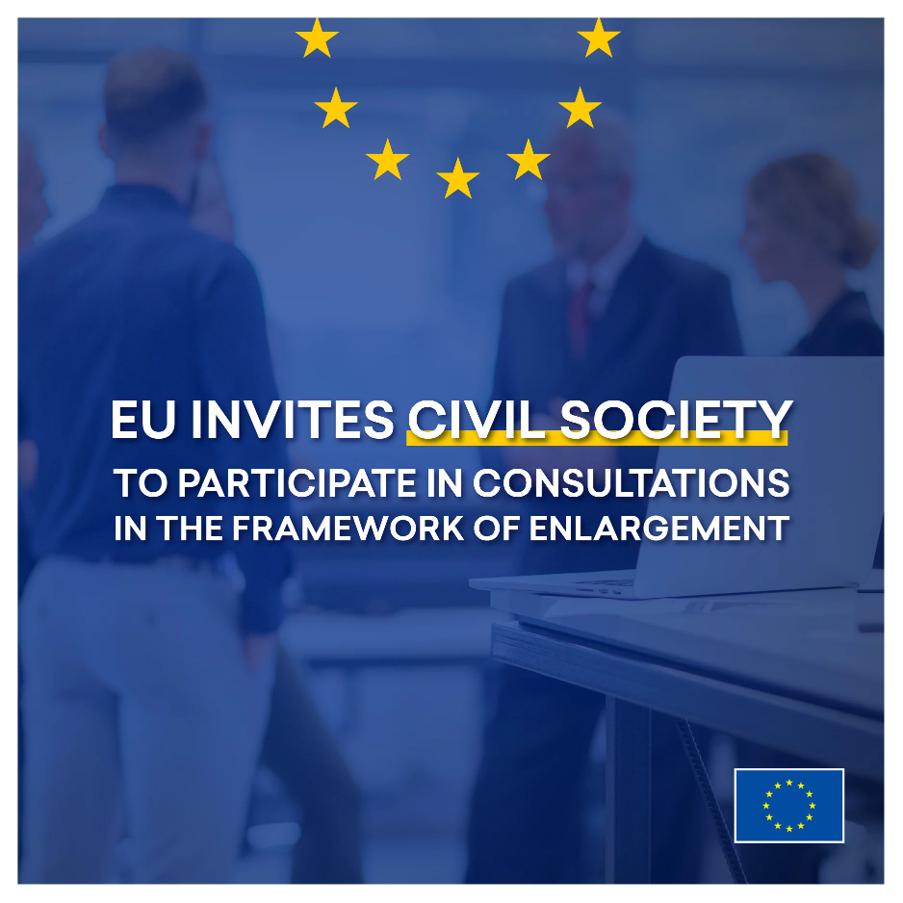 კონსულტაციები სამოქალაქო საზოგადოების ორგანიზაციებთან / Public consultations with civil society organizations