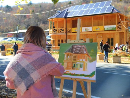 EU4Youth: Social Entrepreneurship Ecosystem Development (SEED) for Green Growth