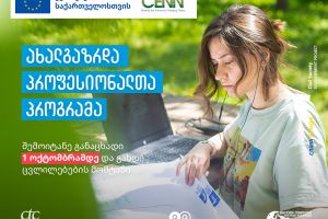 Young Professionals Programme