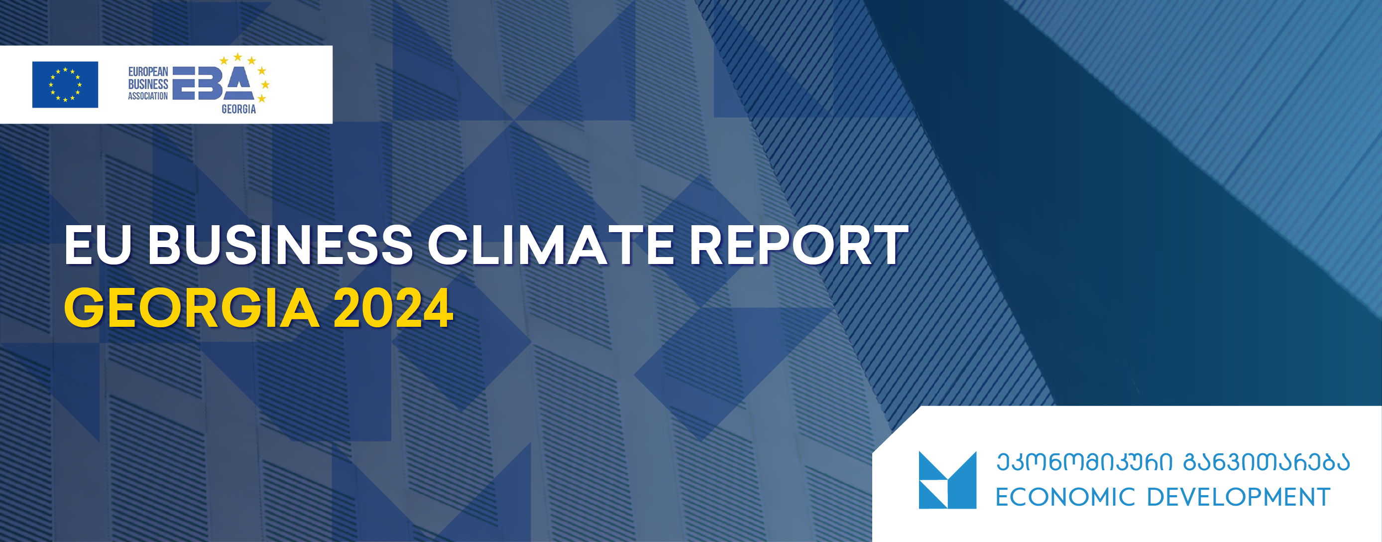 EU Business Climate Report Georgia 2024