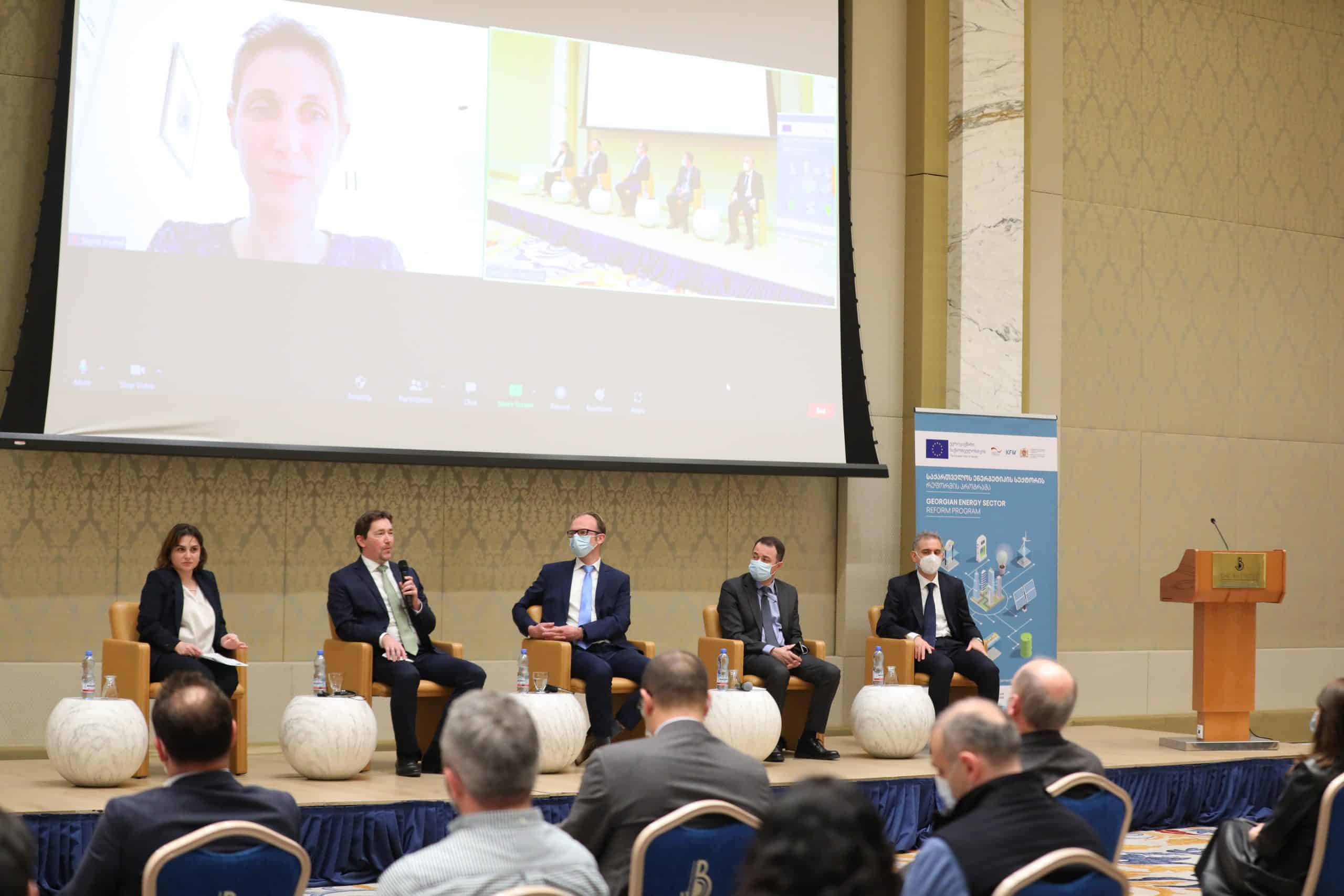 Energy Sector Reform in Georgia