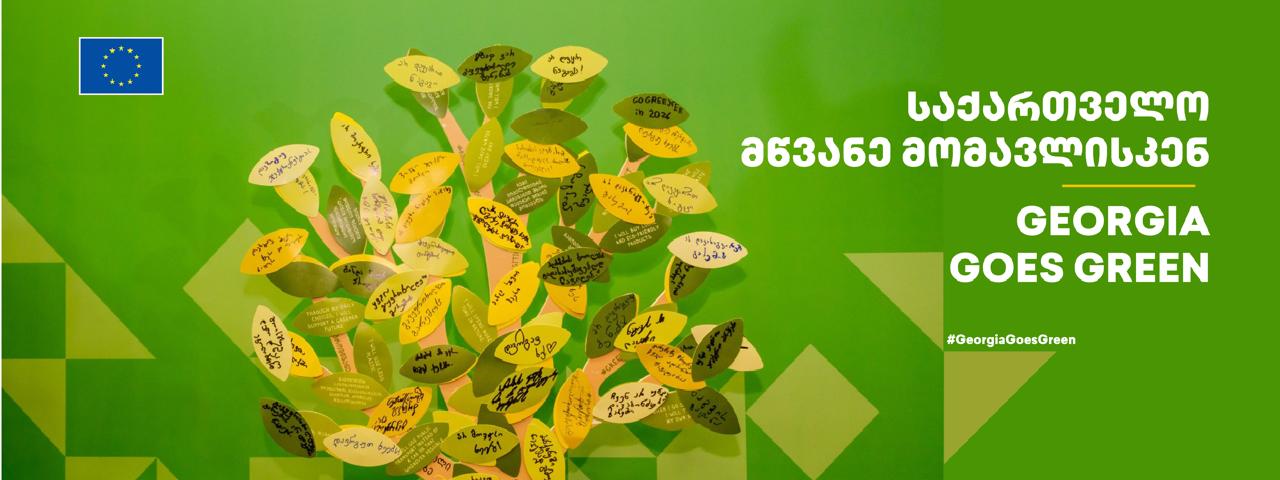 Green Corner / მწვანე კუთხე