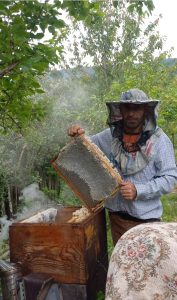 Georgian beekeepers expand production with EU support