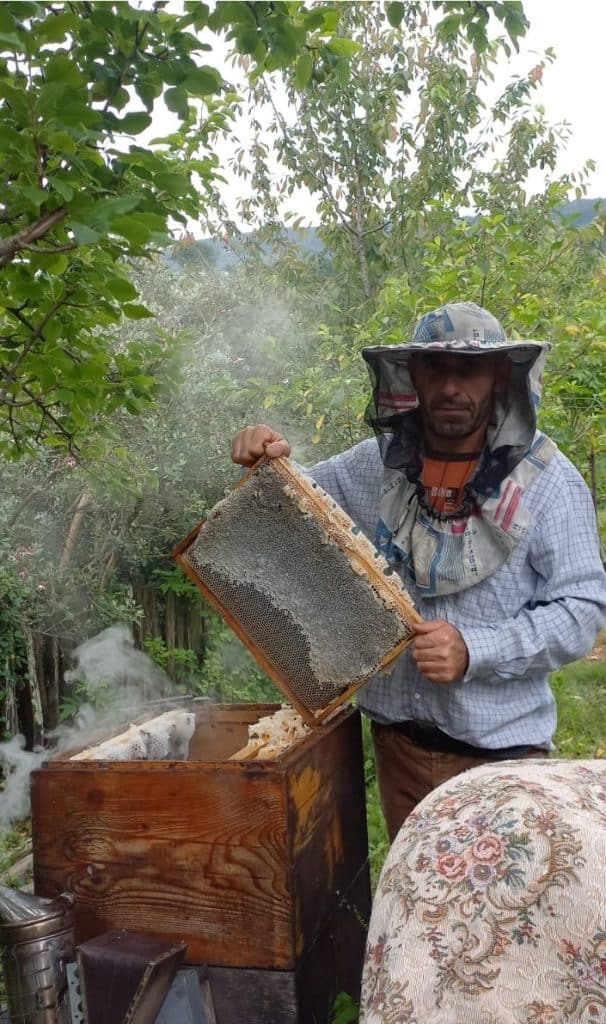 Georgian beekeepers expand production with EU support