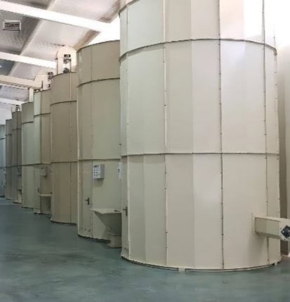 Vertical Hazelnut Dryer
