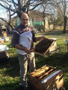 Georgian beekeepers expand production with EU support