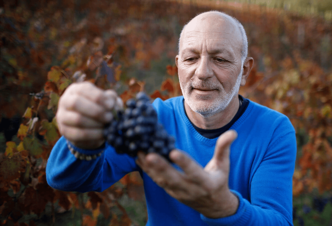 Qvevri wine "Khomli"