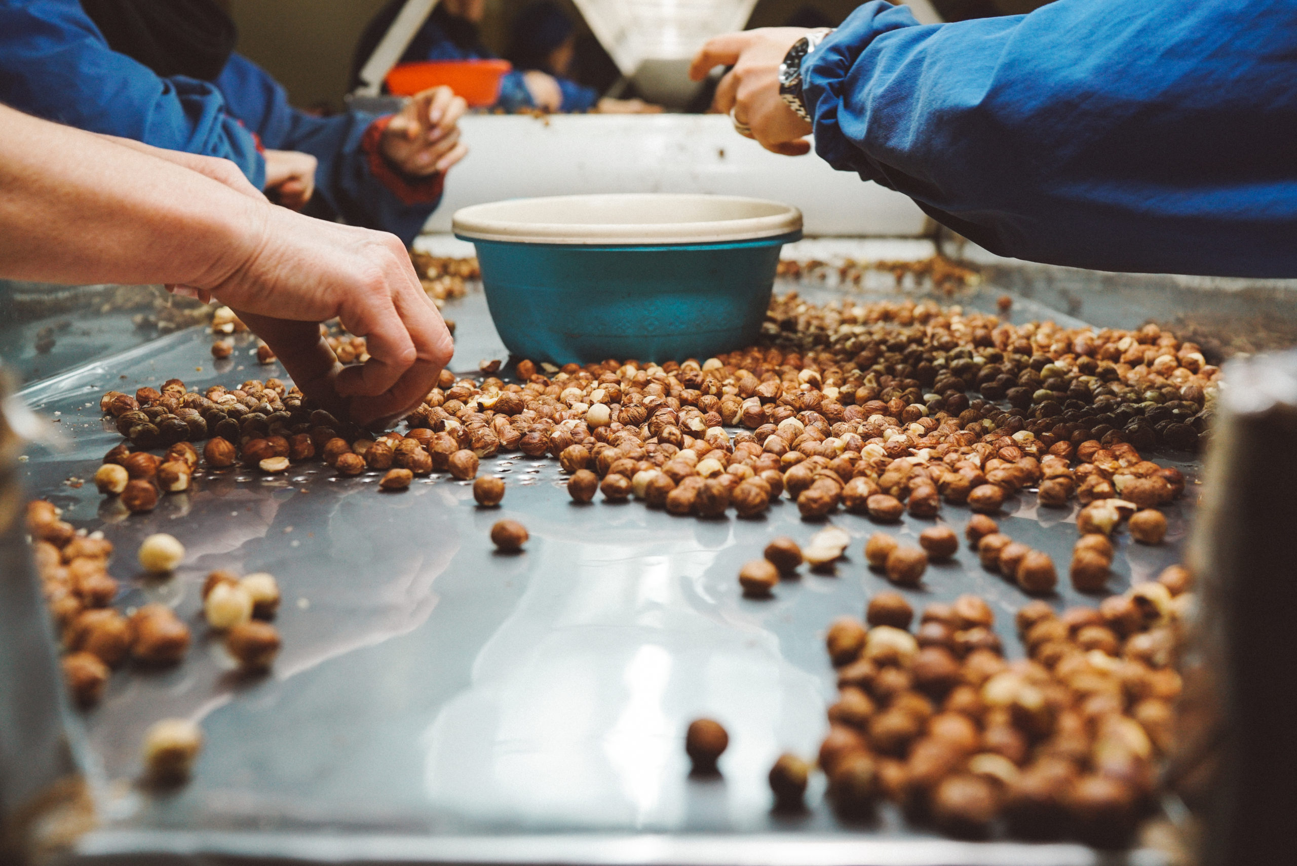 hazelnut and dried fruit producers discuss market conditions