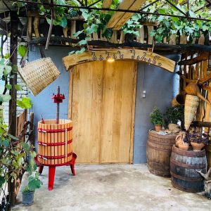 women entrepreneurs in rural Georgia