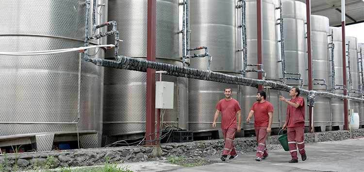 EU/EBRD support to SMEs
