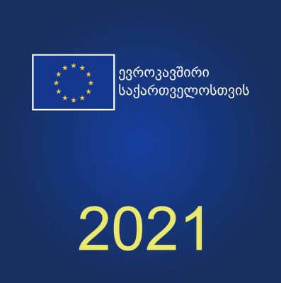 EU Prize for Journalism 2021/ევროკავშირის პრიზი ჟურნალისტიკაში 2021