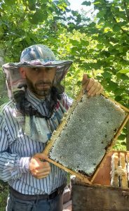 Georgian beekeepers expand production with EU support