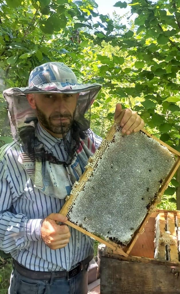 Georgian beekeepers expand production with EU support
